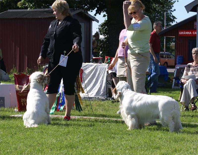 Nexus_Spice_Twice_Vanguard_4th_IntermediateClass_10