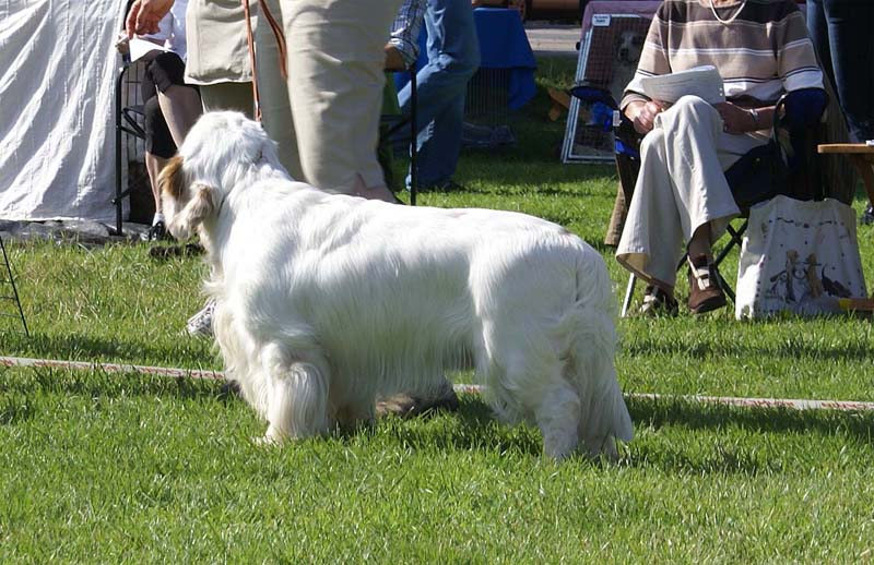 Nexus_Spice_Twice_Vanguard_4th_IntermediateClass_2