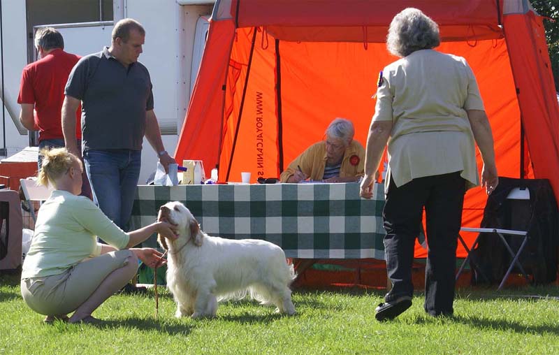 Nexus_Spice_Twice_Vanguard_4th_IntermediateClass_3