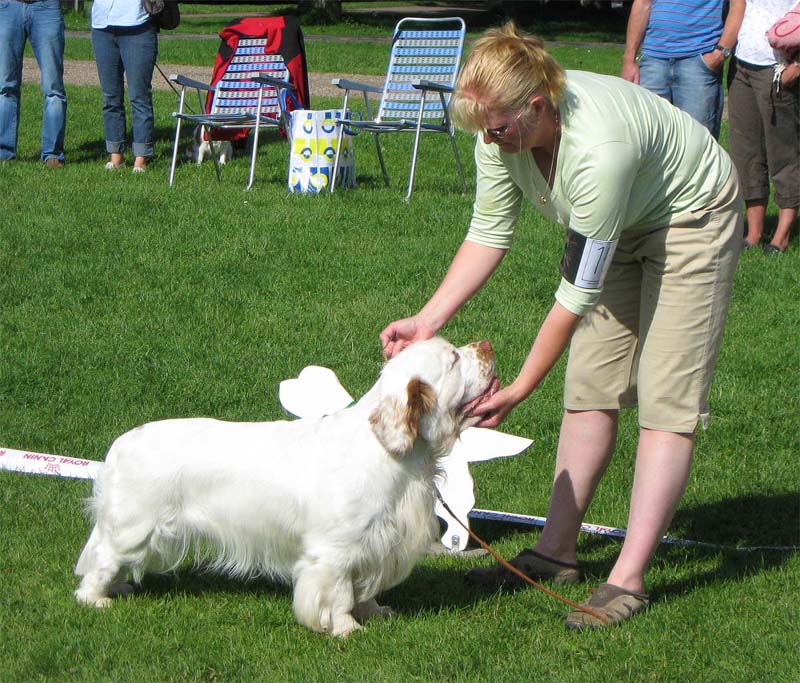 Nexus_Spice_Twice_Vanguard_4th_IntermediateClass_5