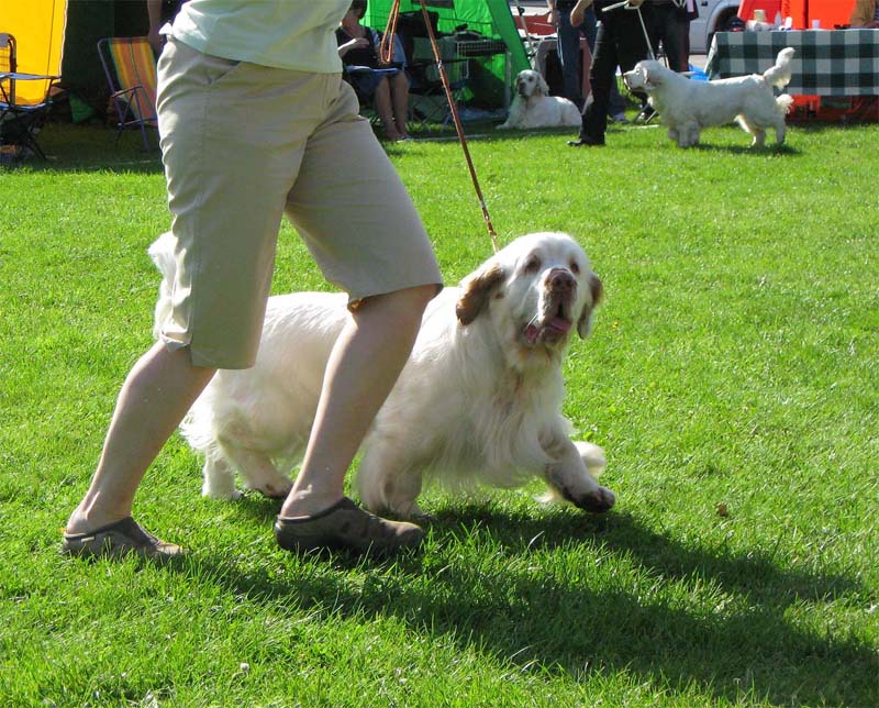 Nexus_Spice_Twice_Vanguard_4th_IntermediateClass_6