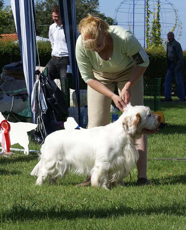 Nexus_Spice_Twice_Vanguard_4th_IntermediateClass_9