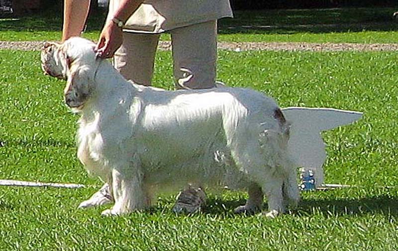 ST_Bohemia_Pohaka_CHclass5th_1