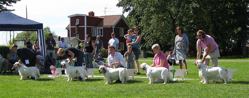 ST_Bohemia_Pohaka_CHclass5th_2