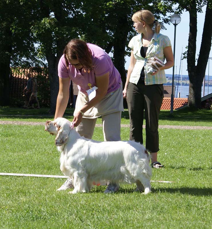 ST_Bohemia_Pohaka_CHclass5th_3