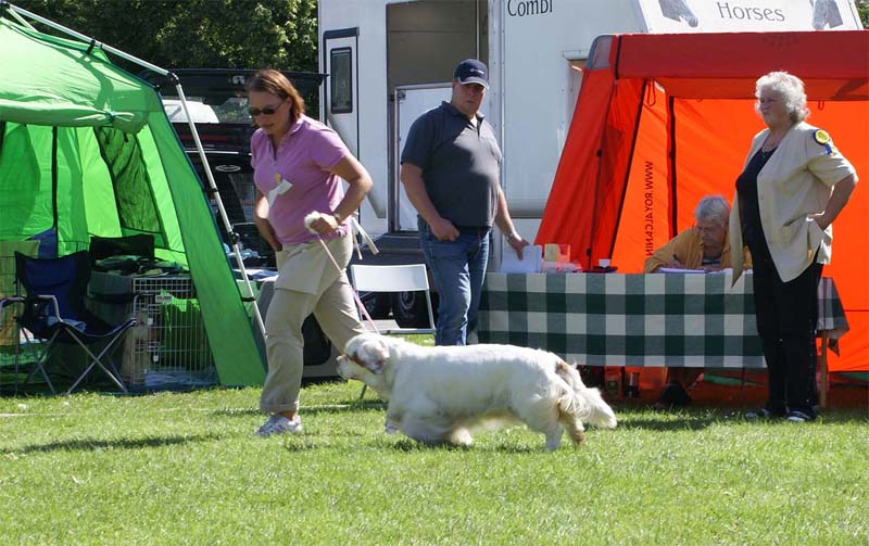 ST_Bohemia_Pohaka_CHclass5th_4