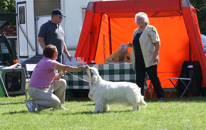 ST_Bohemia_Pohaka_CHclass5th_5