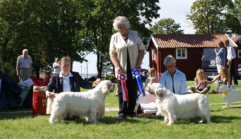 ST_Bohemia_Vtip_BIS1_1