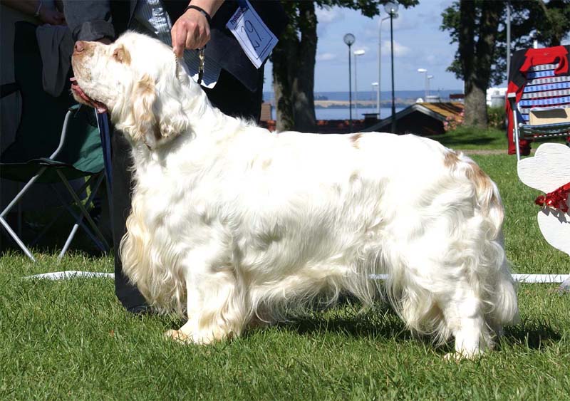 ST_Bohemia_Vtip_BIS1_10