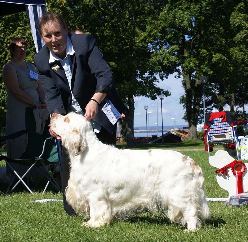 ST_Bohemia_Vtip_BIS1_12