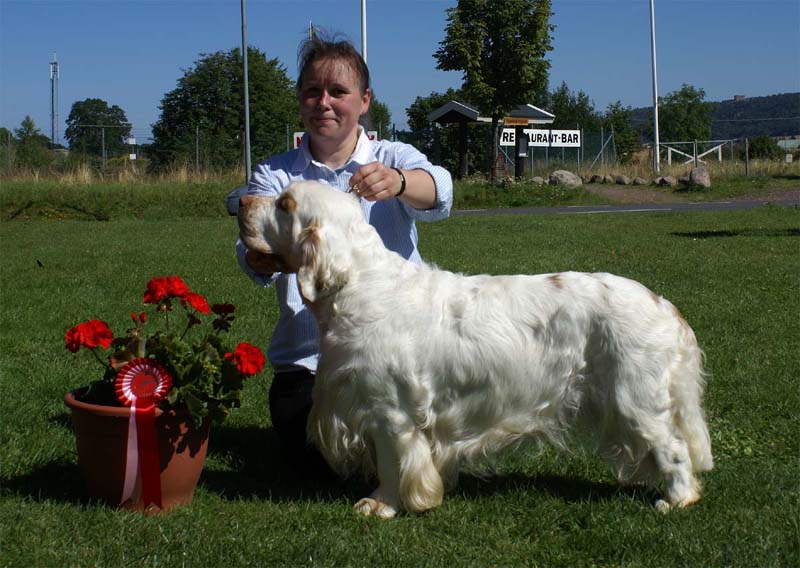 ST_Bohemia_Vtip_BIS1_13