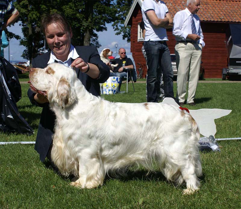 ST_Bohemia_Vtip_BIS1_14