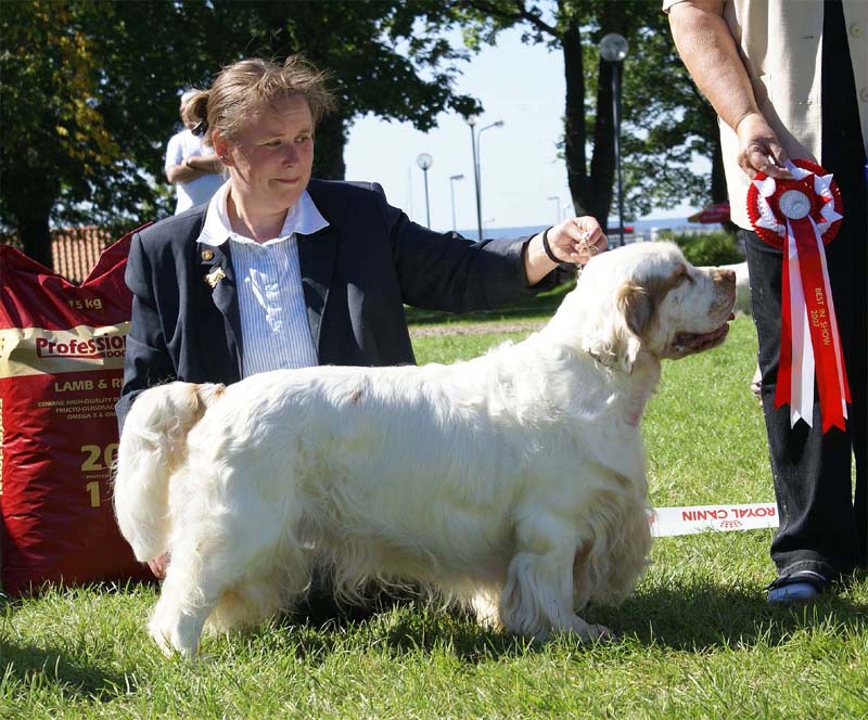 ST_Bohemia_Vtip_BIS1_15