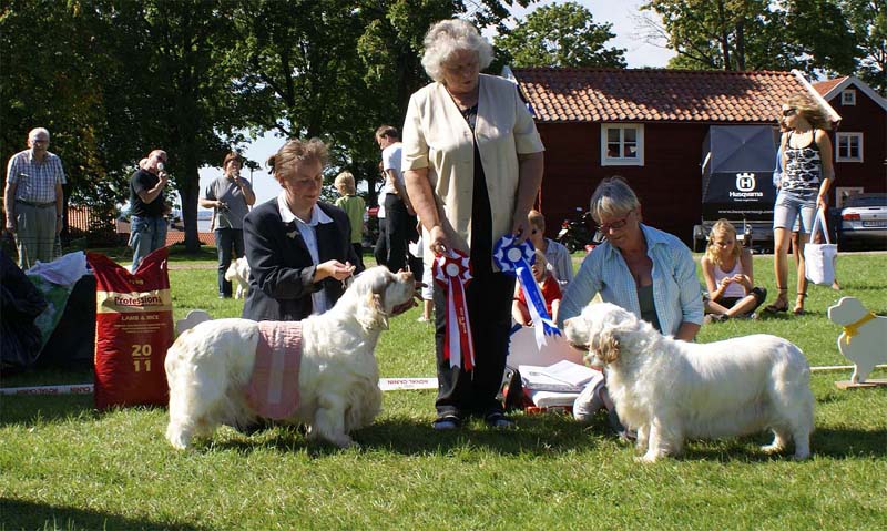 ST_Bohemia_Vtip_BIS1_16