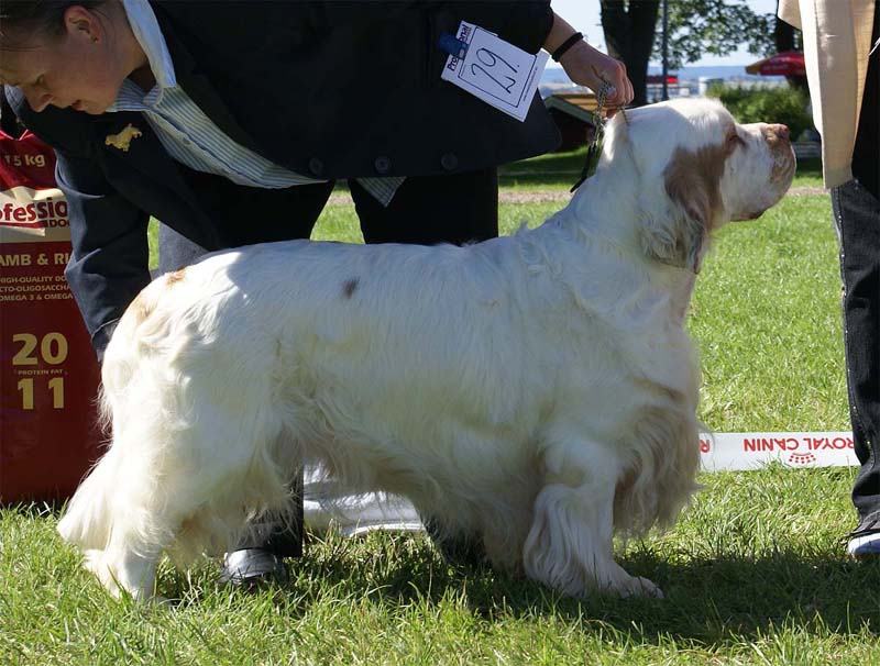 ST_Bohemia_Vtip_BIS1_2