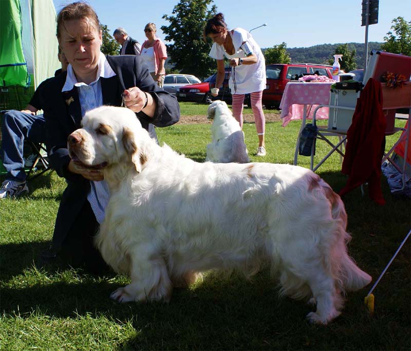 ST_Bohemia_Vtip_BIS1_7