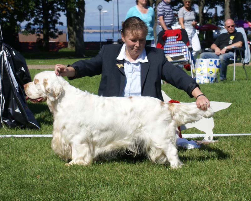 ST_Bohemia_Vtip_BIS1_8