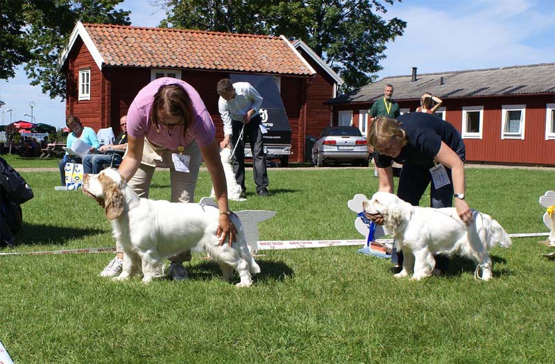 ST_Holy_Moly_BIS2Junior_1