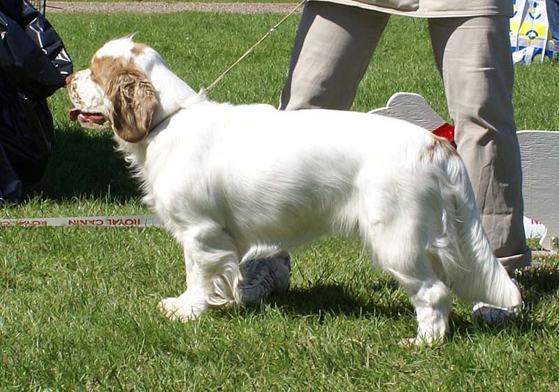 ST_Holy_Moly_BIS2Junior_10