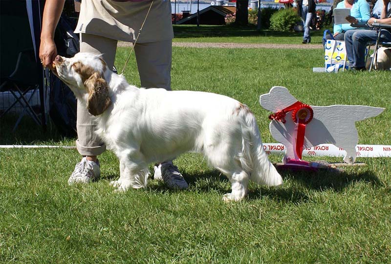 ST_Holy_Moly_BIS2Junior_2