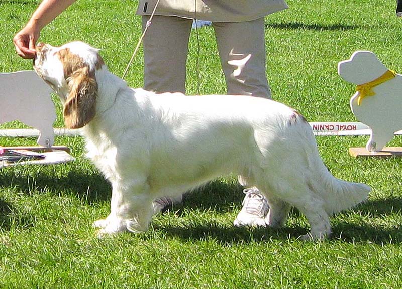 ST_Holy_Moly_BIS2Junior_3