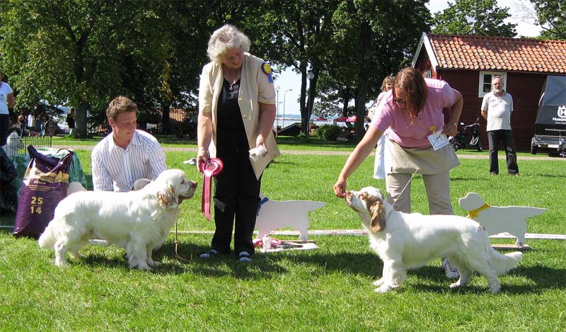 ST_Holy_Moly_BIS2Junior_6