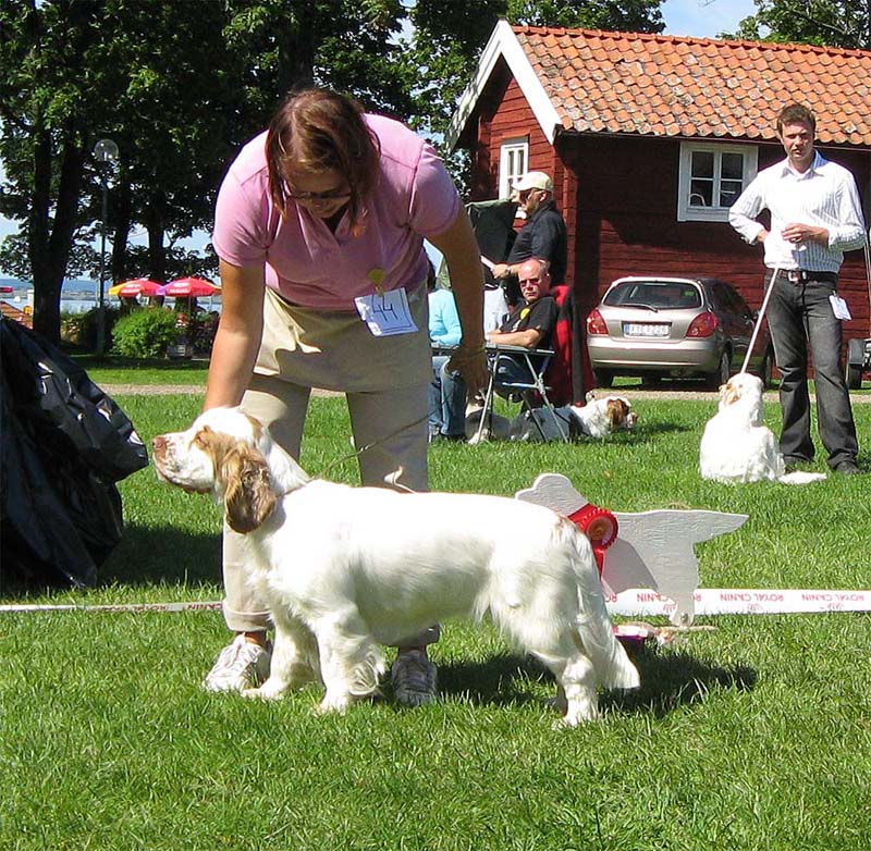 ST_Holy_Moly_BIS2Junior_7