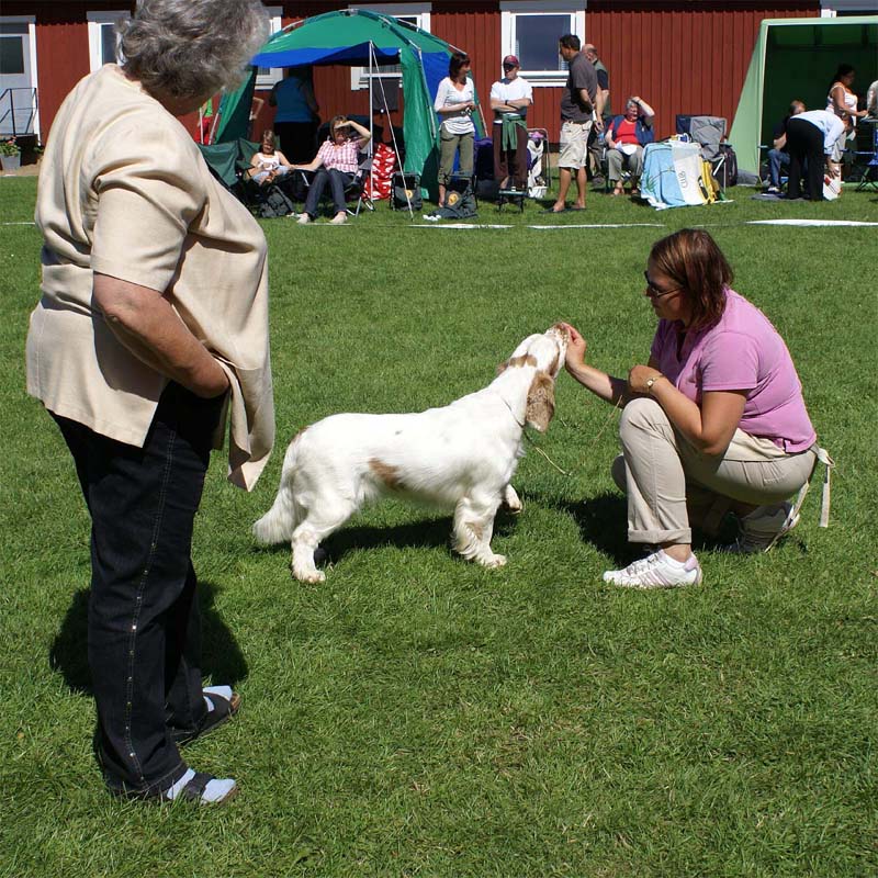 ST_Holy_Moly_BIS2Junior_8