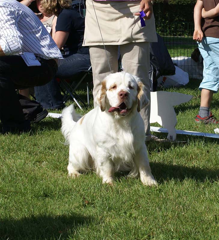 ST_Viking_Finn_2ndJuniorClass_1