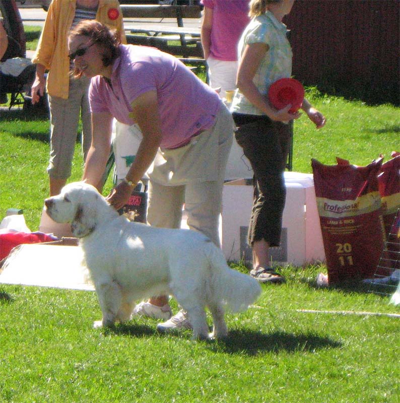 ST_Viking_Finn_2ndJuniorClass_5