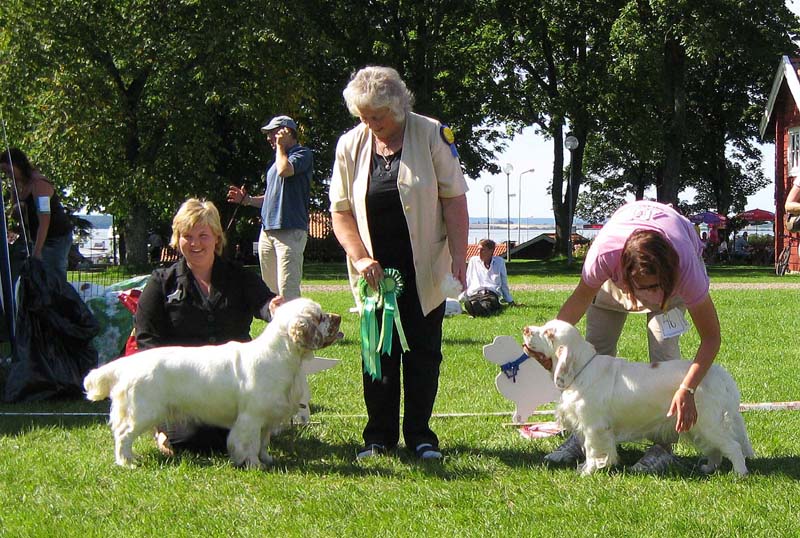 Shoguns_Spice_Twice_Cottontail_BIS2Intermediate_4