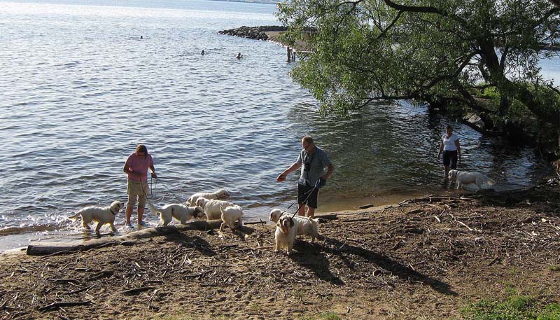 Swimming_After_the_Show_1