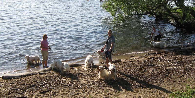 Swimming_After_the_Show_2