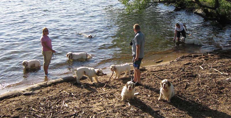 Swimming_After_the_Show_3