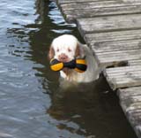 Nexus_Spice_Twice_Vanguard