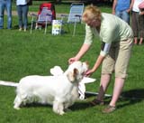 Nexus_Spice_Twice_Vanguard_4th_IntermediateClass_5