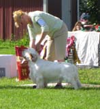 Nexus_Spice_Twice_Vanguard_4th_IntermediateClass_8