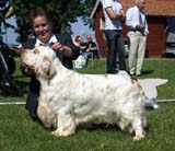 ST_Bohemia_Vtip_BIS1_14