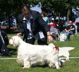 ST_Bohemia_Vtip_BIS1_9