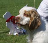 ST_Holy_Moly_BIS2Junior_11