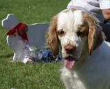 ST_Holy_Moly_BIS2Junior_13