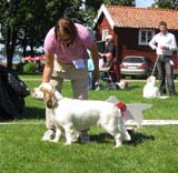 ST_Holy_Moly_BIS2Junior_7