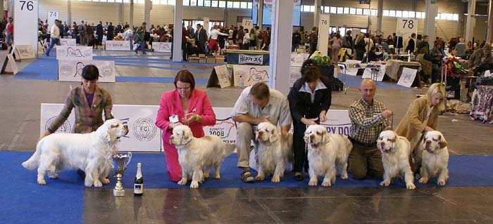 ClubShow_BIS_progeny_BelcrumBillyTheKid