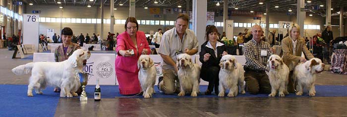 ClubShow_BIS_progeny_BelcrumBillyTheKid_d