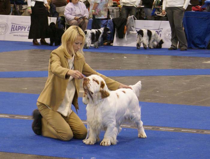 ClubShow_Baileys_Medvedi_Smecka