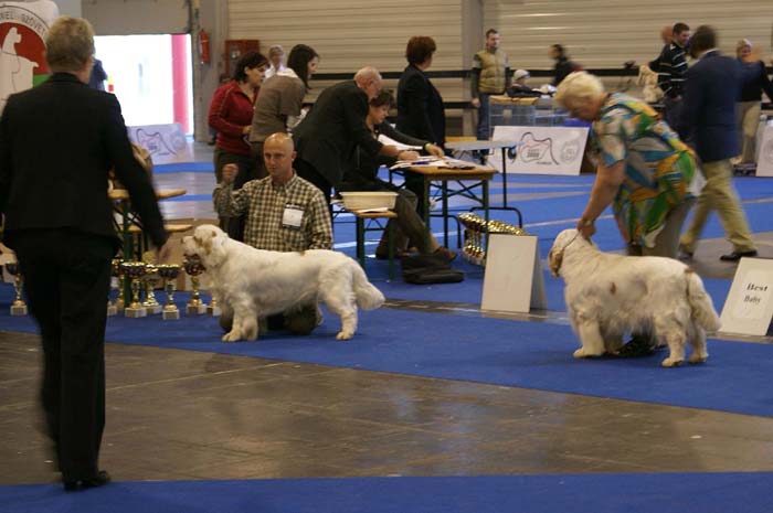 ClubShow_BorisMedvediSmecka_ChervoodsSnowjumper