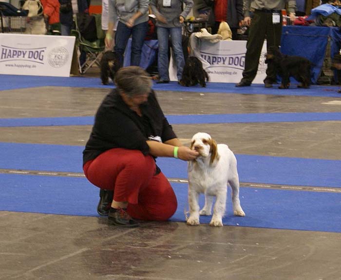 ClubShow_Cactus_Wild_Blue_Yonder