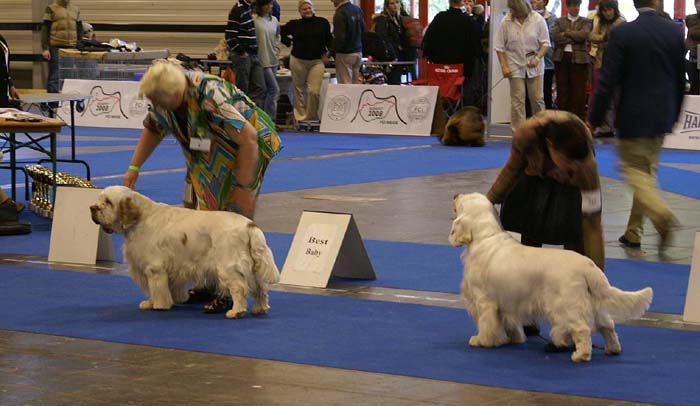 ClubShow_Chervoods_Snowjumper_Belcrum_BillyTheKid