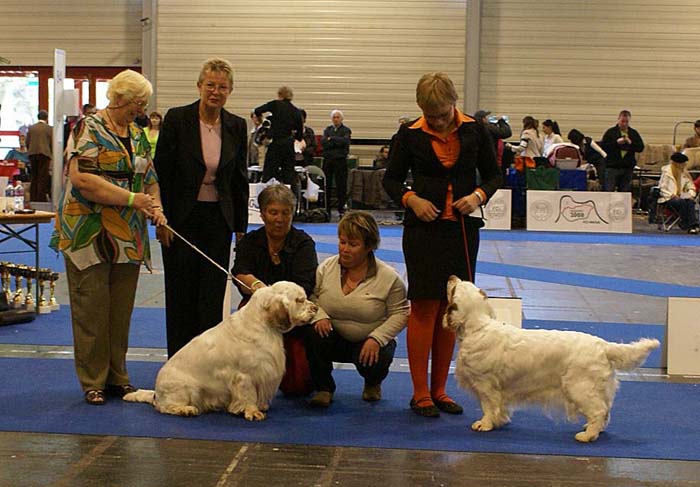 ClubShow_Chervoods_Snowjumper_Snowsun_b