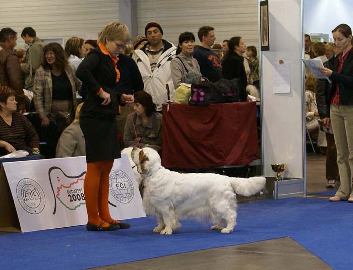 ClubShow_Chervoods_Snowsun